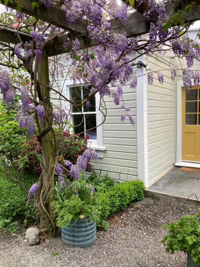 Country Bliss Cottage Greytown Extérieur photo